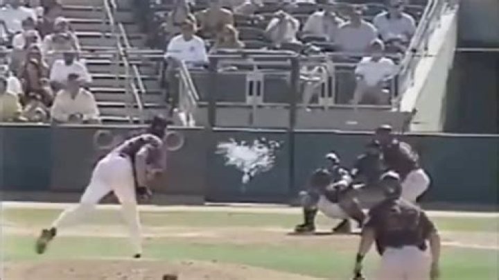 randy johnson hits bird