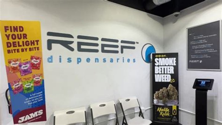 reef dispensary