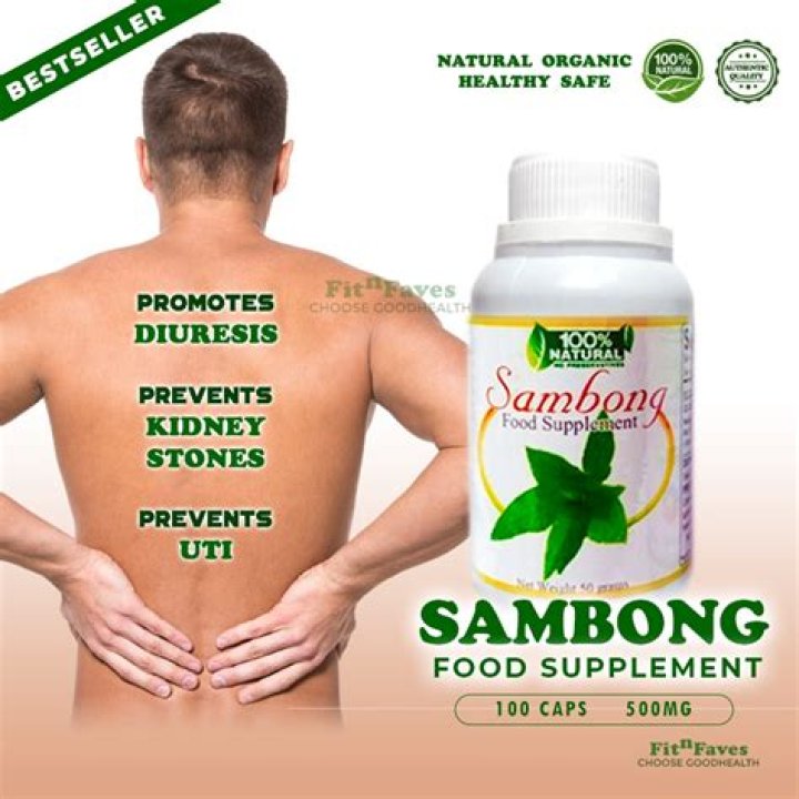sambong capsule