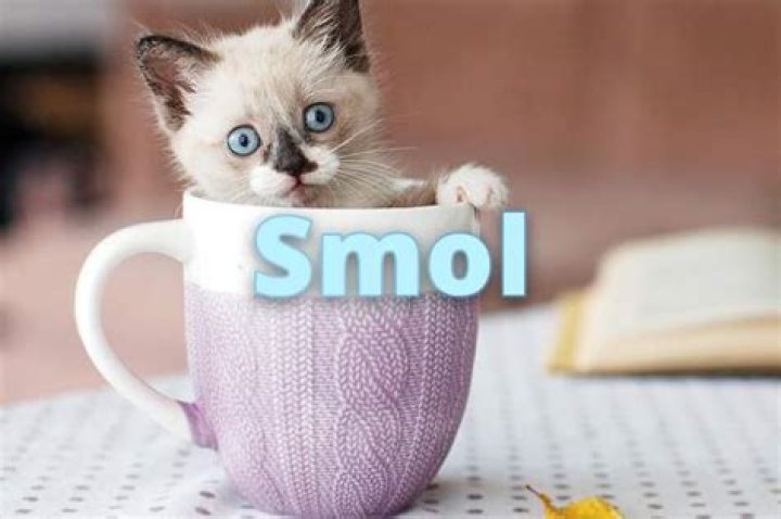smol meaning