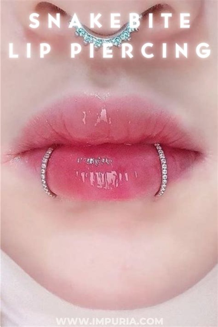 snake bite piercing
