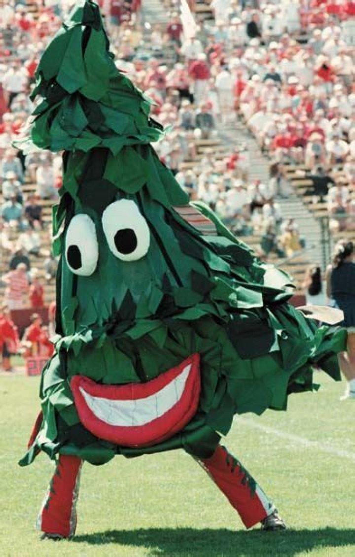 stanford mascot