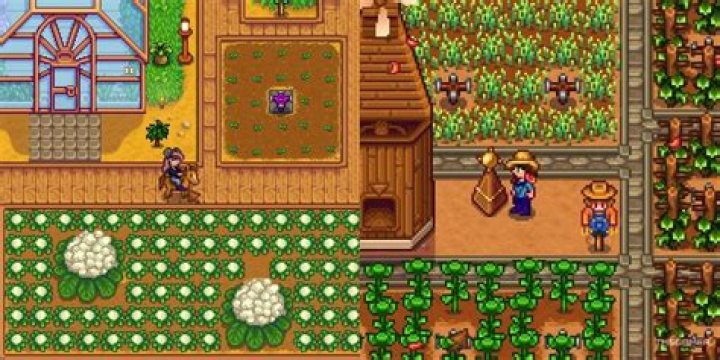 stardew valley how to repair fence