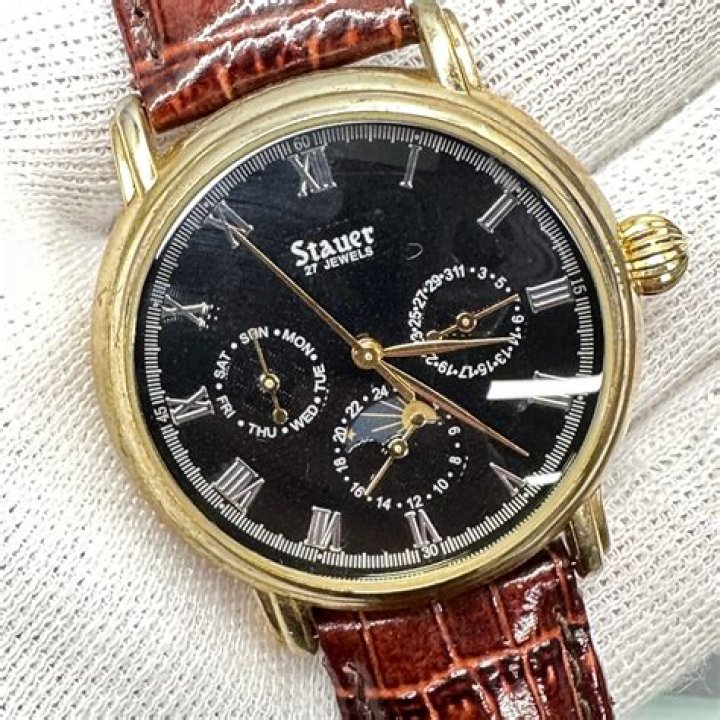 stauer watches