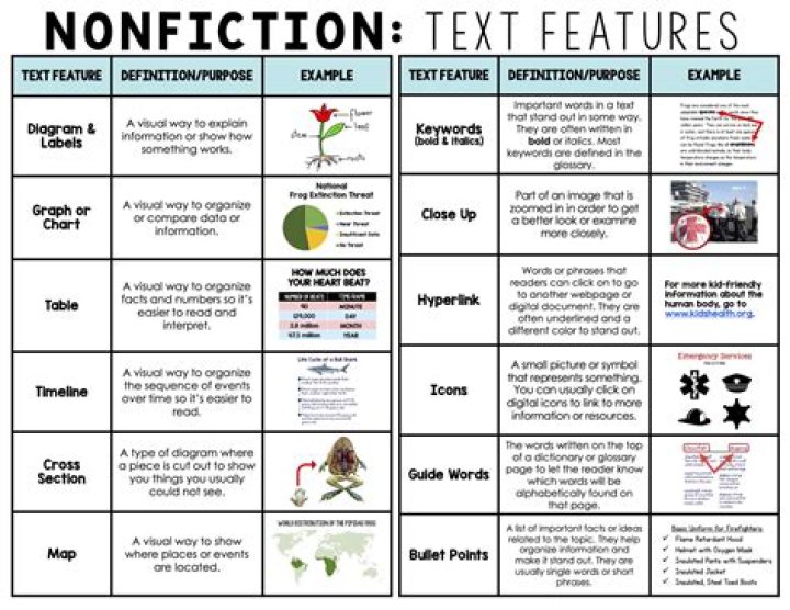 text features definition