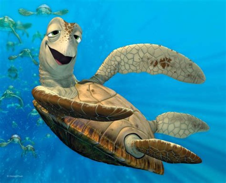 turtle from nemo