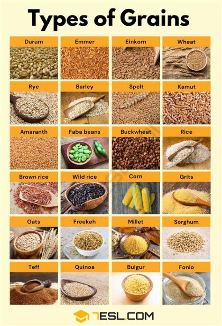 types of grains