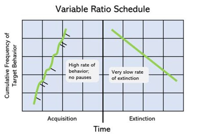 variable ratio schedule