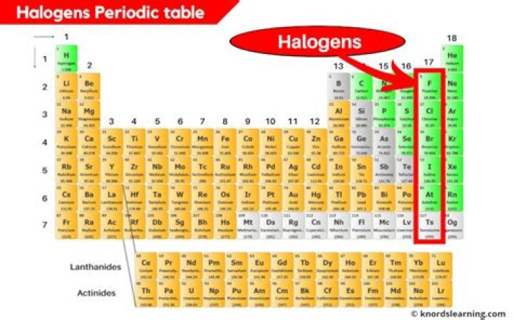 what are halogens