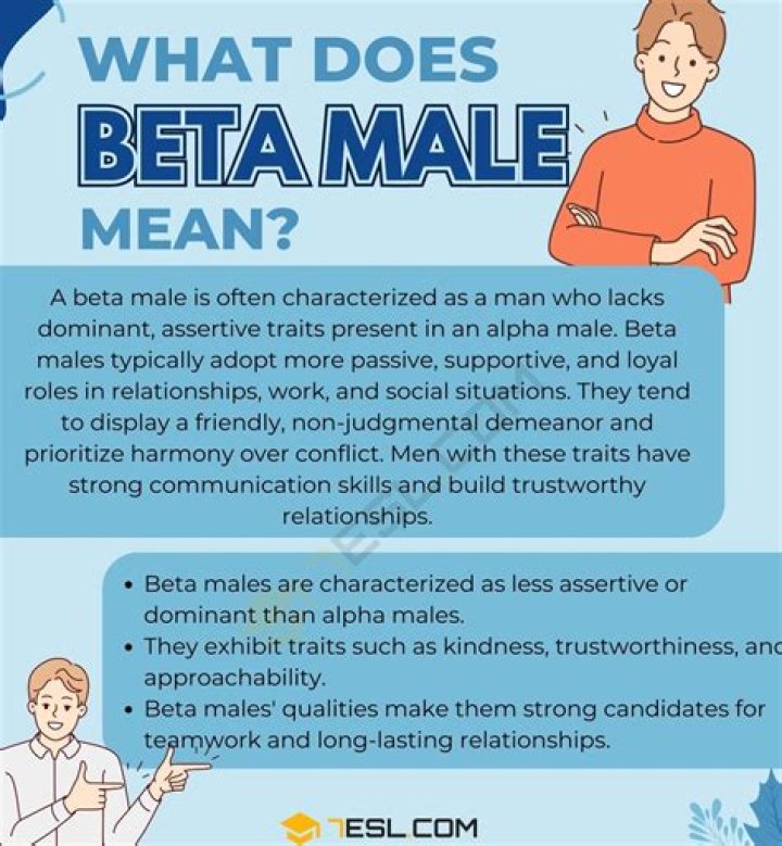 what does beta mean