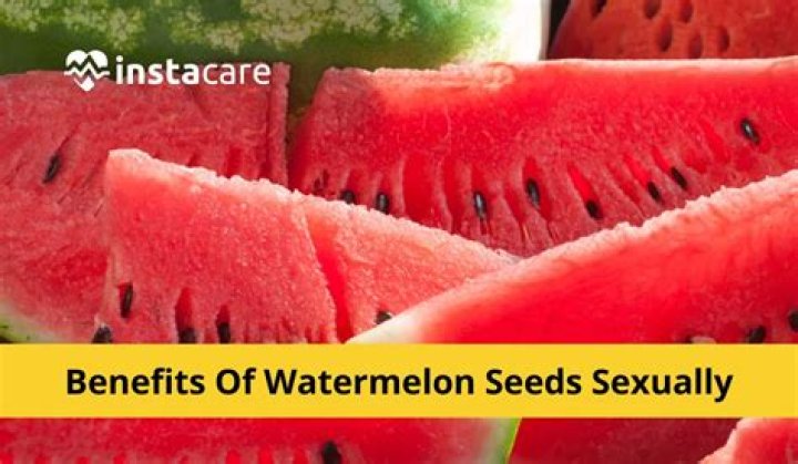 what does watermelon sugar mean sexually