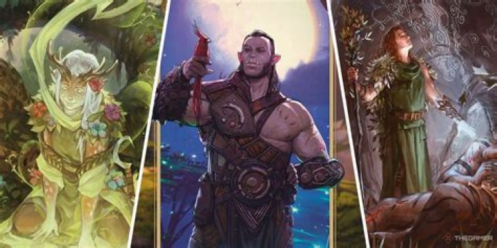 what is a druid