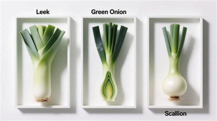 what is a leek