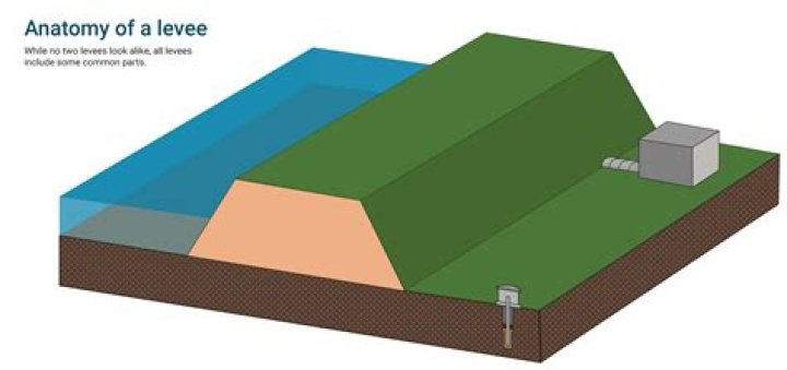what is a levee