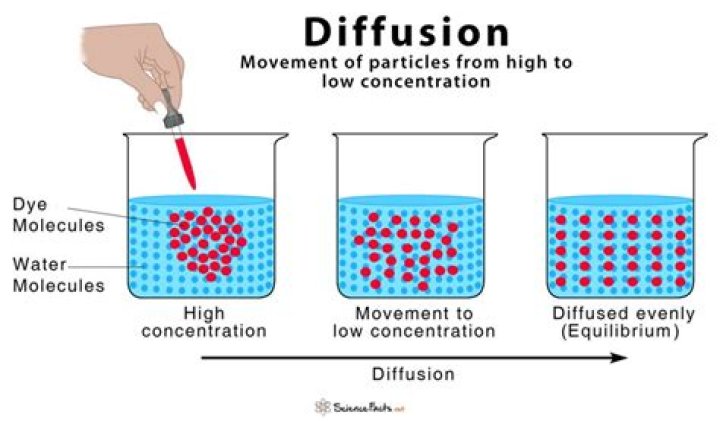 what is diffusion