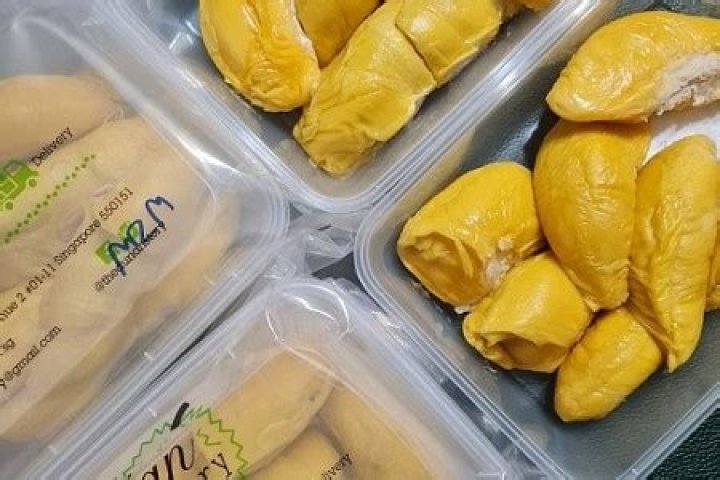 what is durian