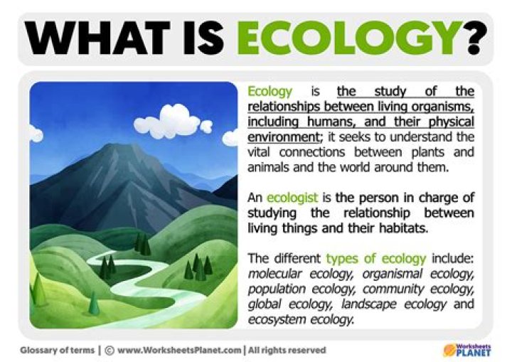 what is ecology