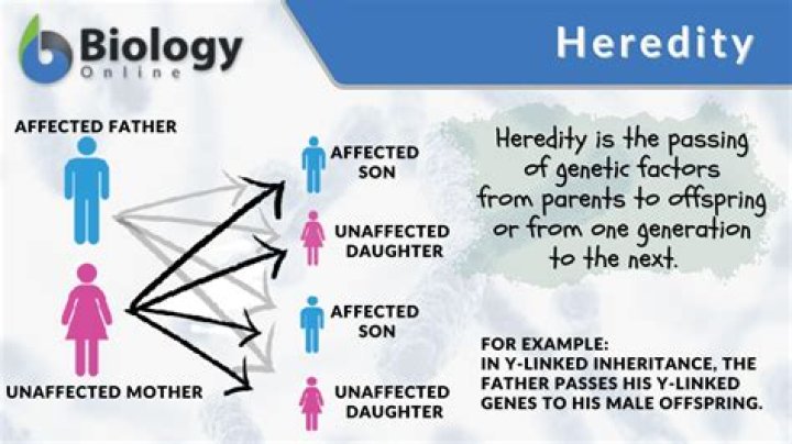 what is heredity