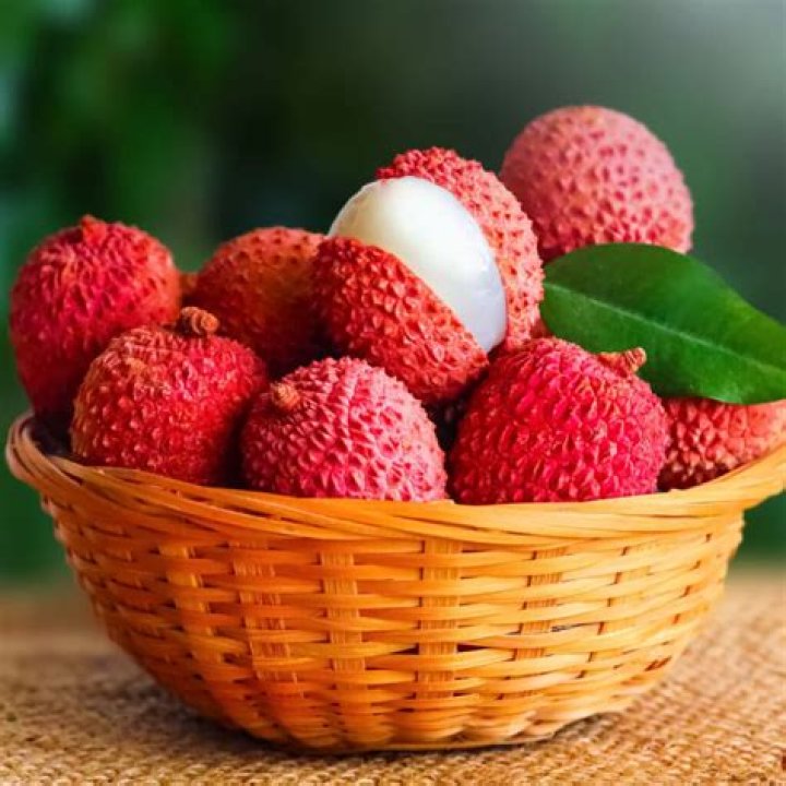 what is lychee