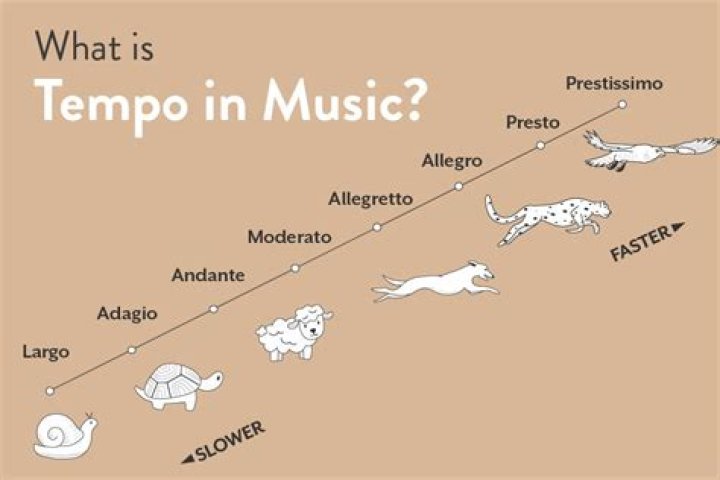 what is tempo