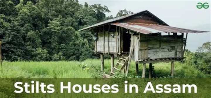 why houses in assam are built on stilts